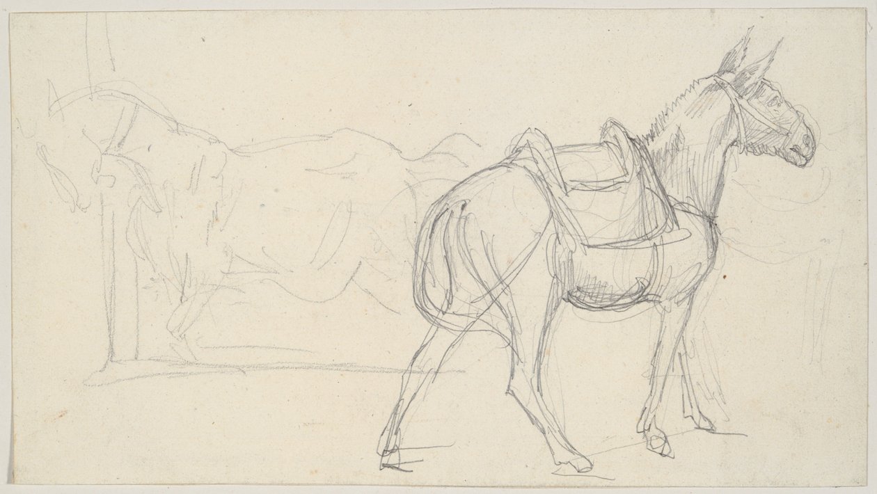 Tegning af en hest af Theodore Gericault