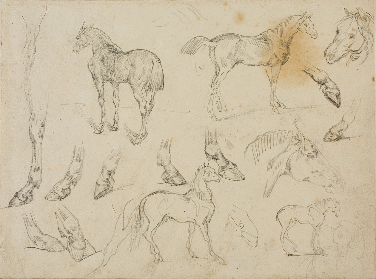 Skitser af en hest af Theodore Gericault