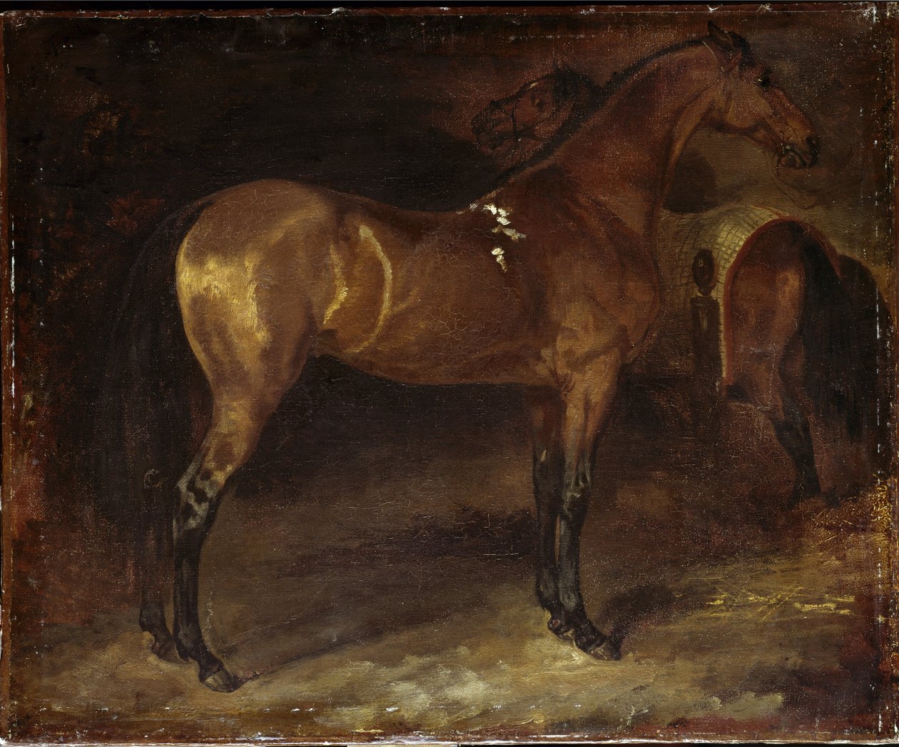 Spansk hest - olie på lærred af Theodore Gericault