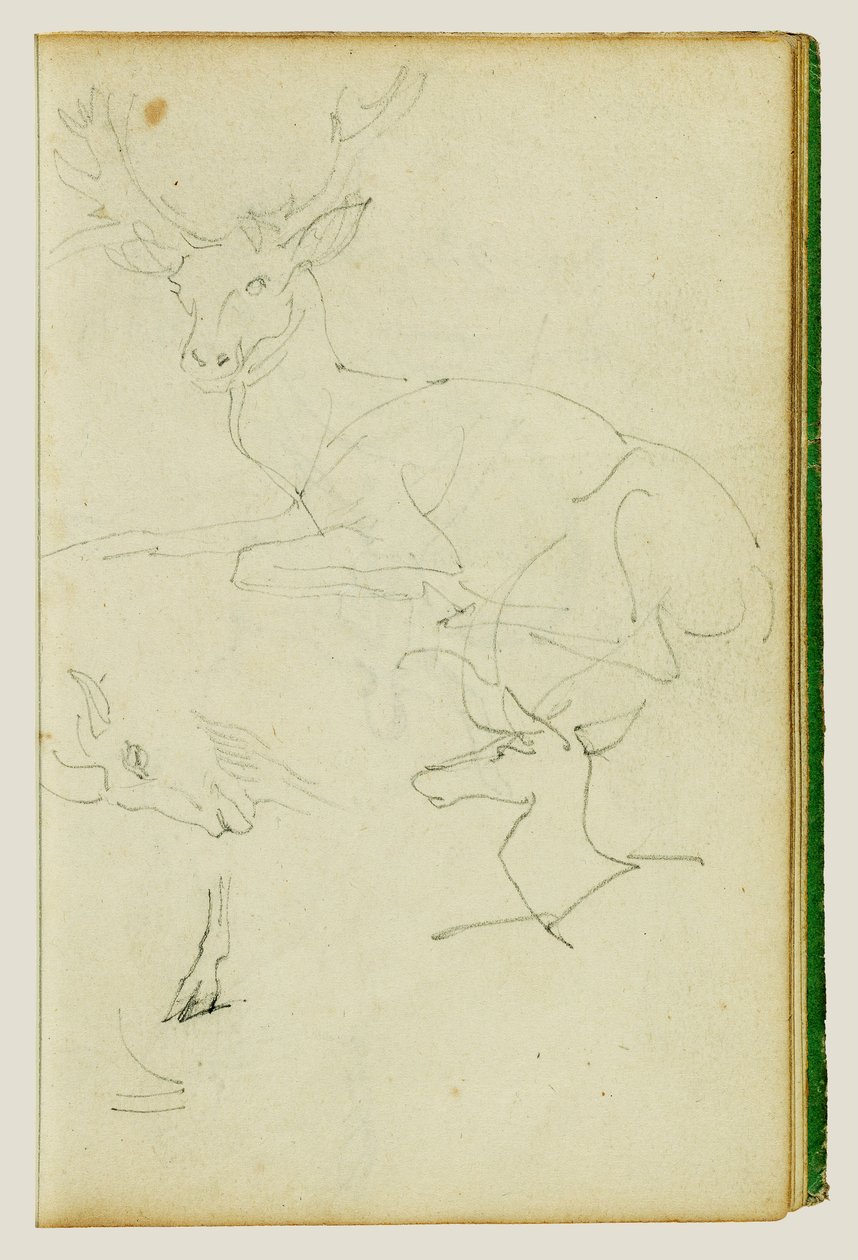 Studier af en siddende hjort, en hjortekalv og et gedhoved af Theodore Gericault
