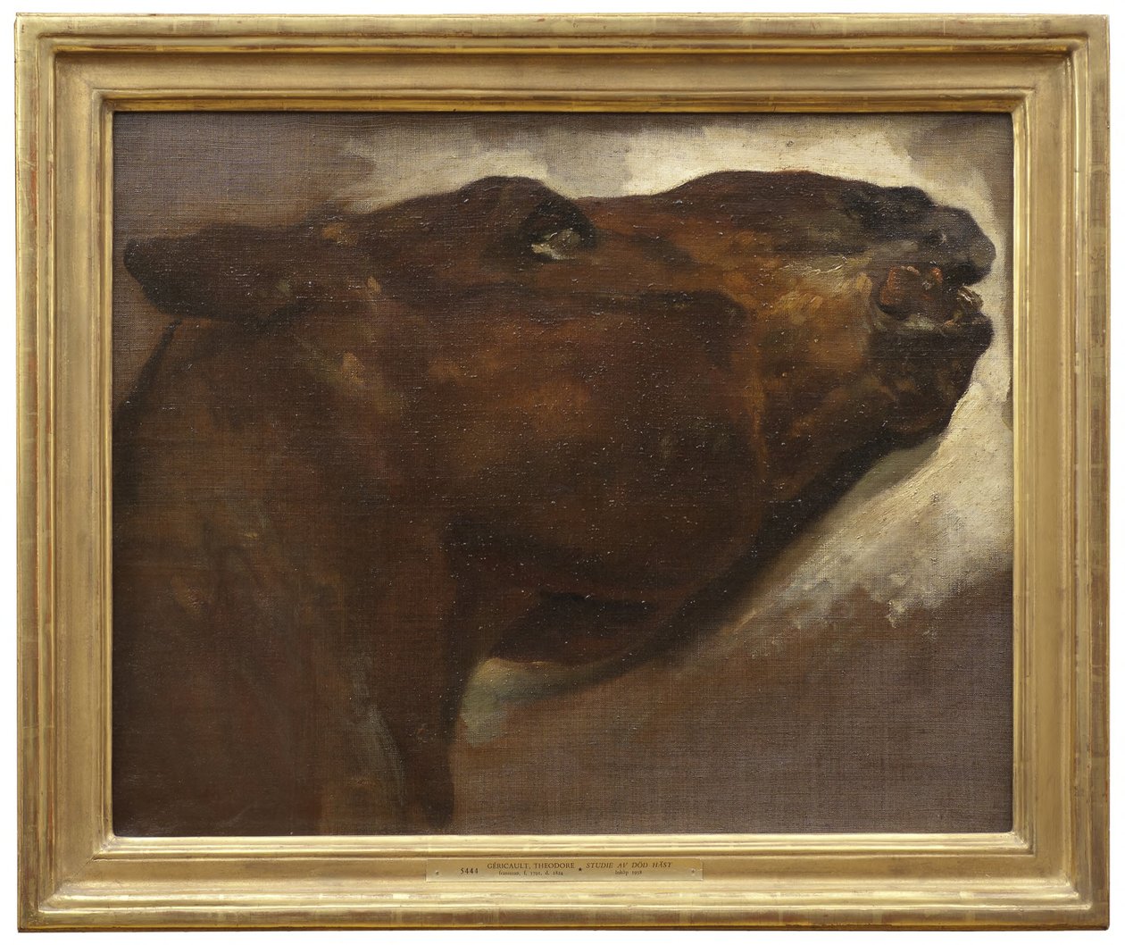 Studie af en død hest af Theodore Gericault