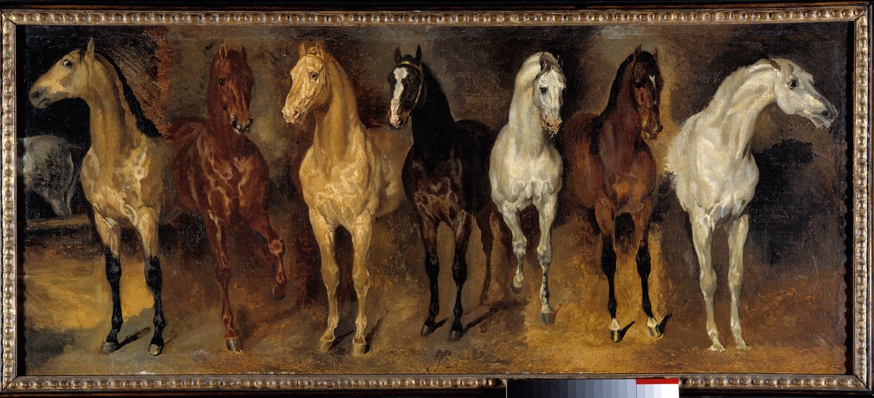 Brysterne Syv heste forfra. Maleri af Theodore Gericault (1791-1824) 1800-tallet søn. 0,39x0,94 m Privat samling - Syv hestekister (set forfra). Maleri af Theodore Gericault (1791-1824) af Theodore Gericault