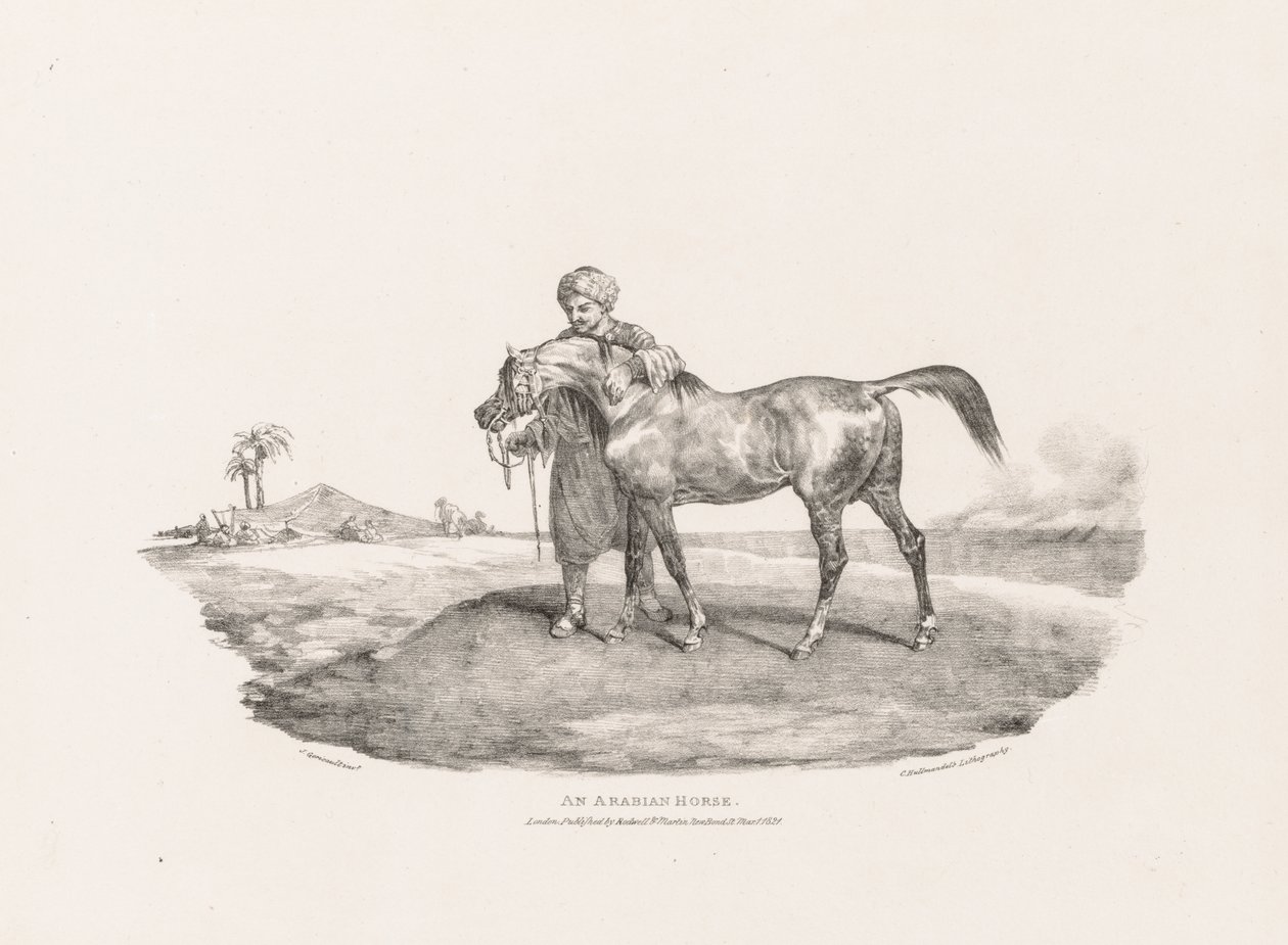 Forskellige motiver tegnet efter naturen og på sten: En arabisk hest af Theodore Gericault
