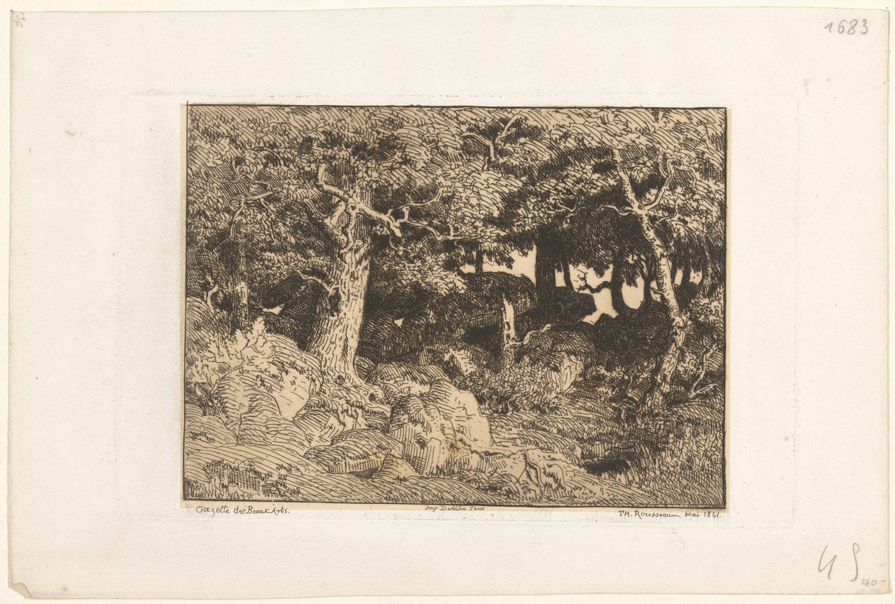 Egetræer på klipper Chenes de Roche (original titel) af Theodore Rousseau