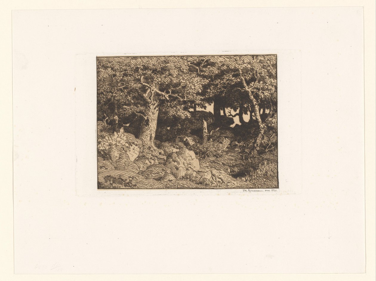 Egetræer på klipper Chenes de Roche (original titel) af Theodore Rousseau