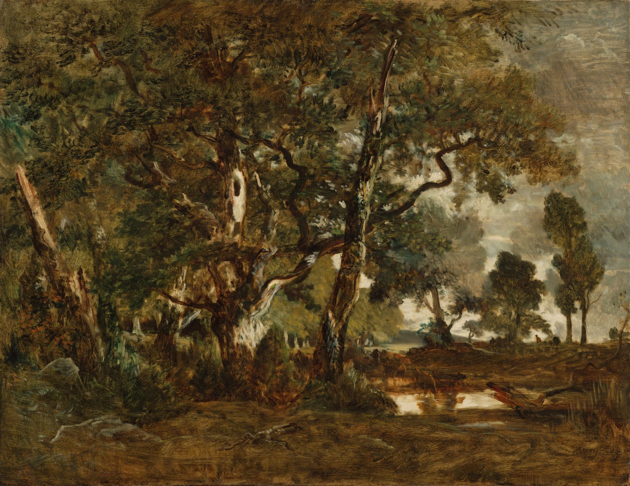 Fontainebleau-skoven, klynge af høje træer med udsigt over Clair-Bois-sletten i udkanten af Bas-Bréau af Theodore Rousseau