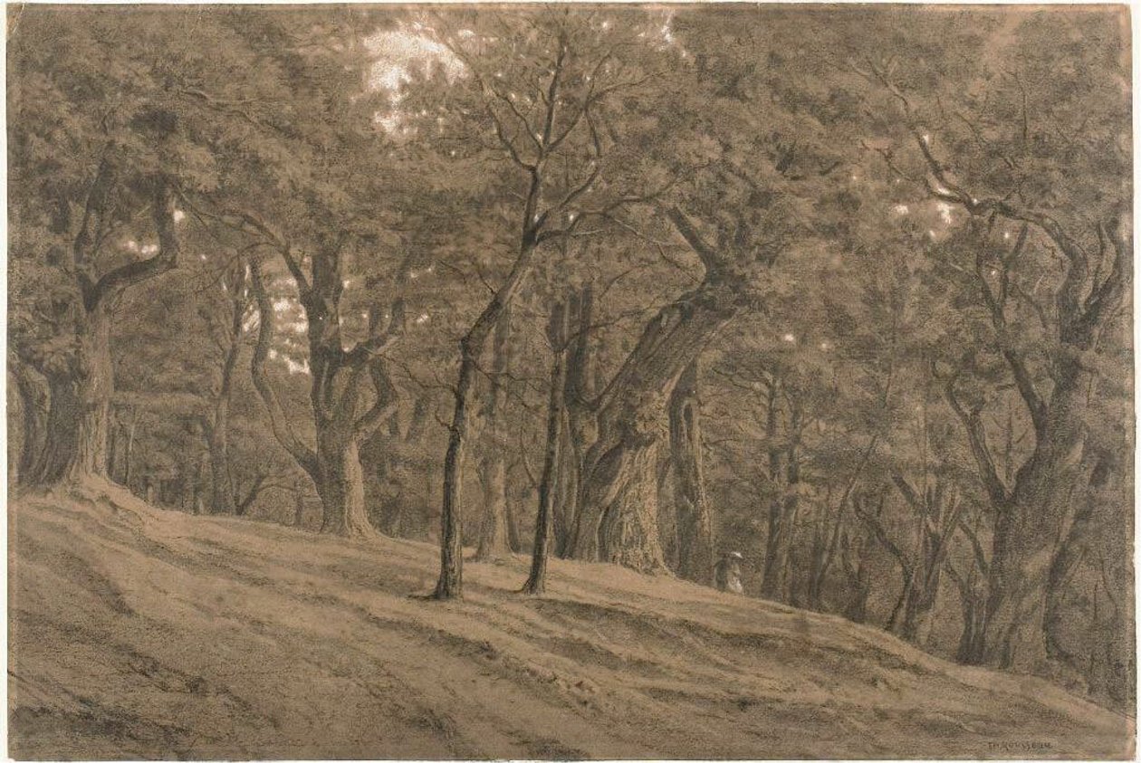 I skoven ved Fontainbleau af Theodore Rousseau