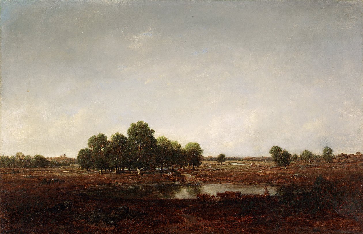 Landskab med mose af Pierre Etienne Theodore Rousseau
