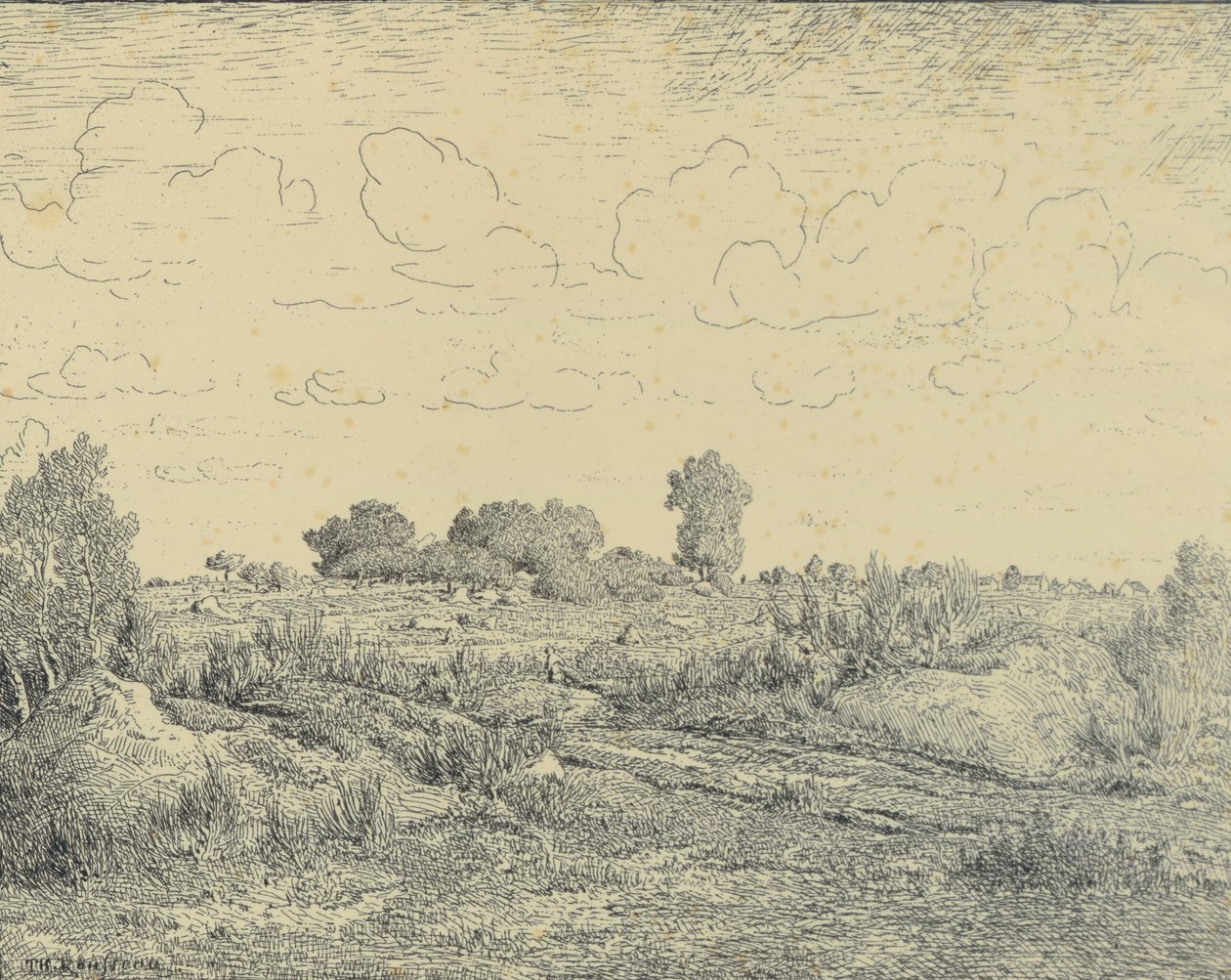 Plaine de La Plante i Biau af Theodore Rousseau