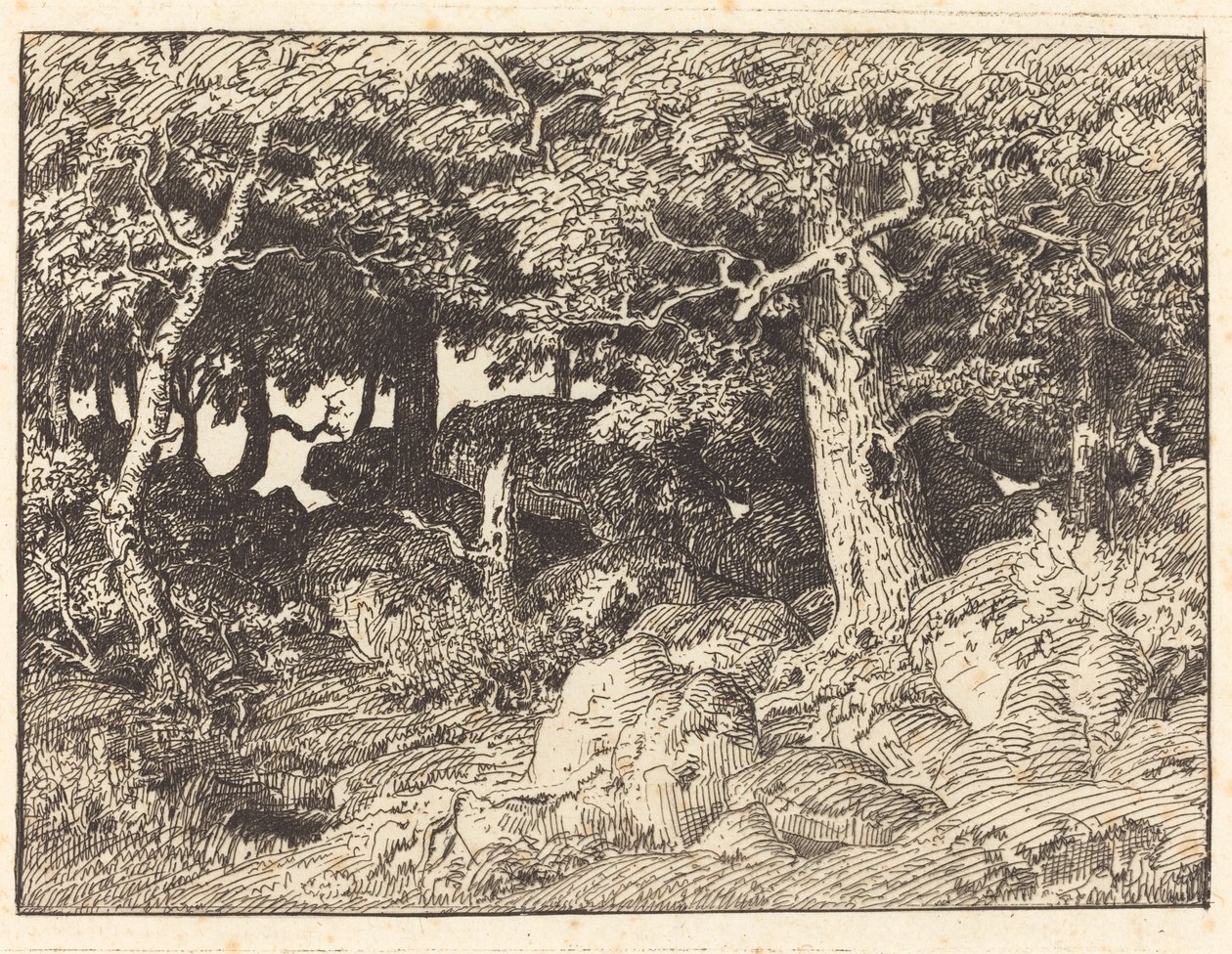 Rock Oaks af Theodore Rousseau
