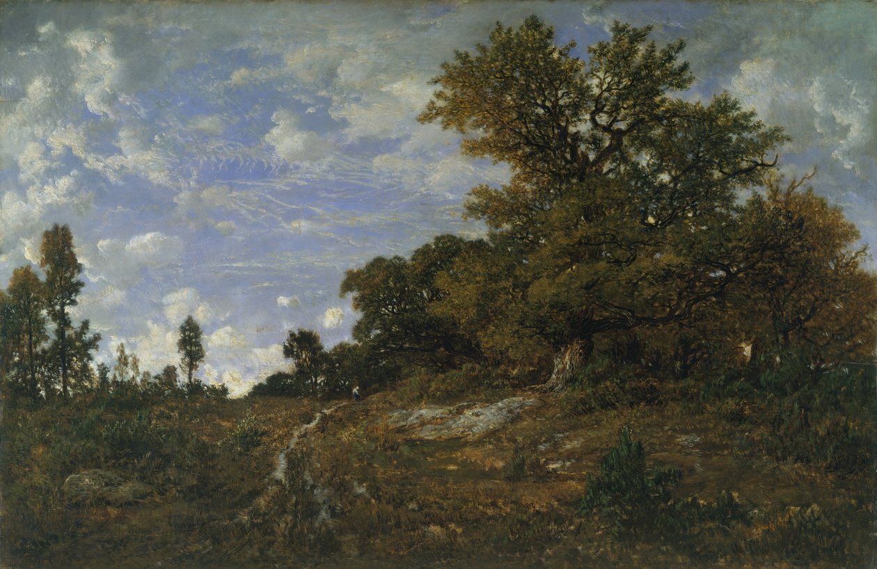 The Edge of the Woods ved Monts-Girard, Fontainebleau Forest af Pierre Etienne Theodore Rousseau