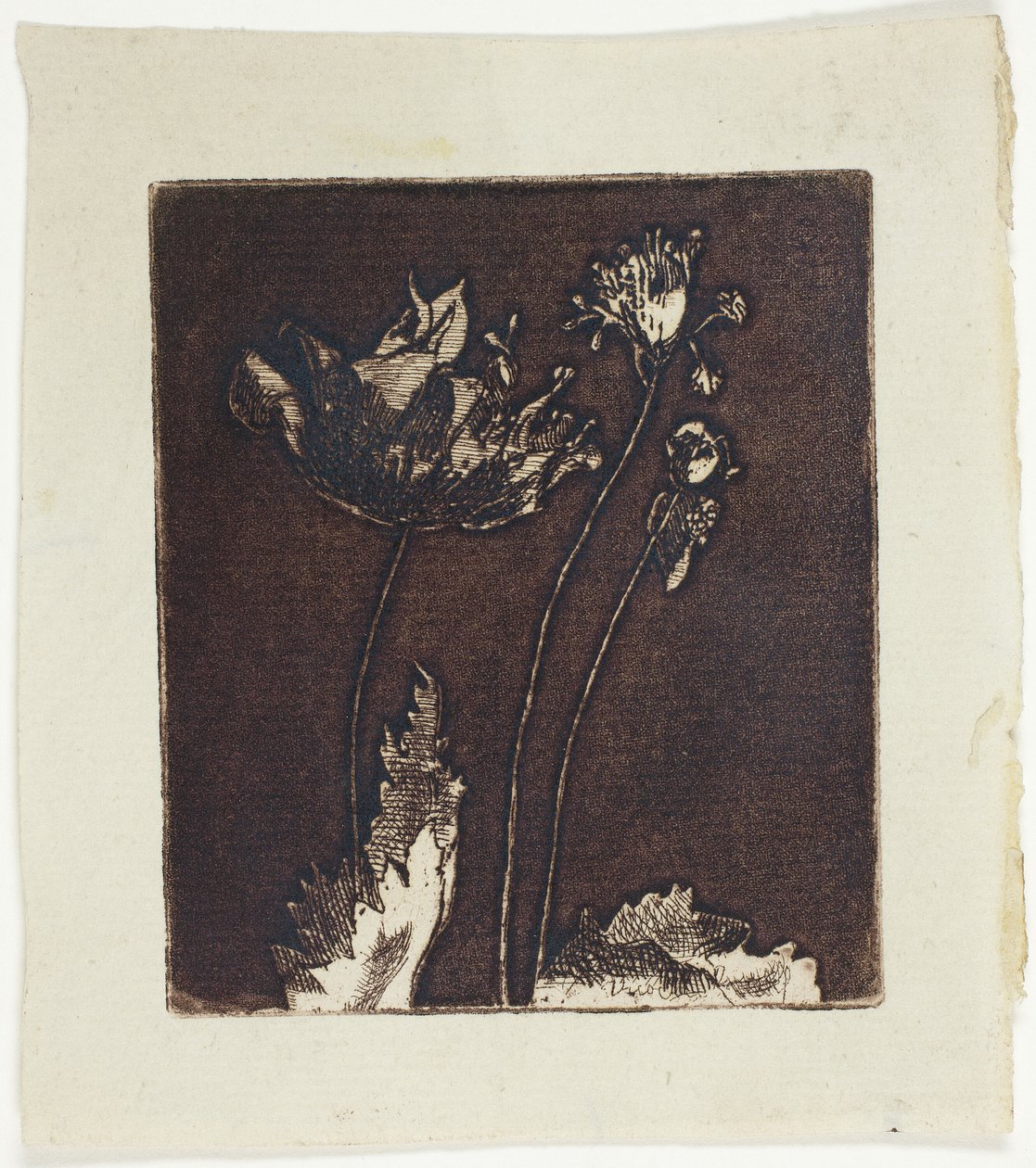 Sidste valmuer af Theodore Roussel