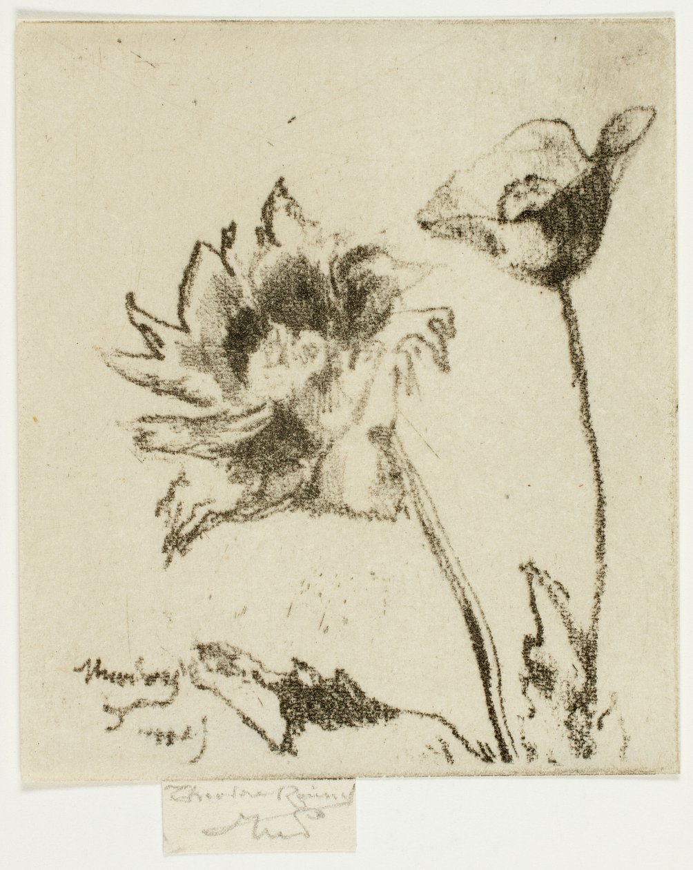 To Blomster af Theodore Roussel