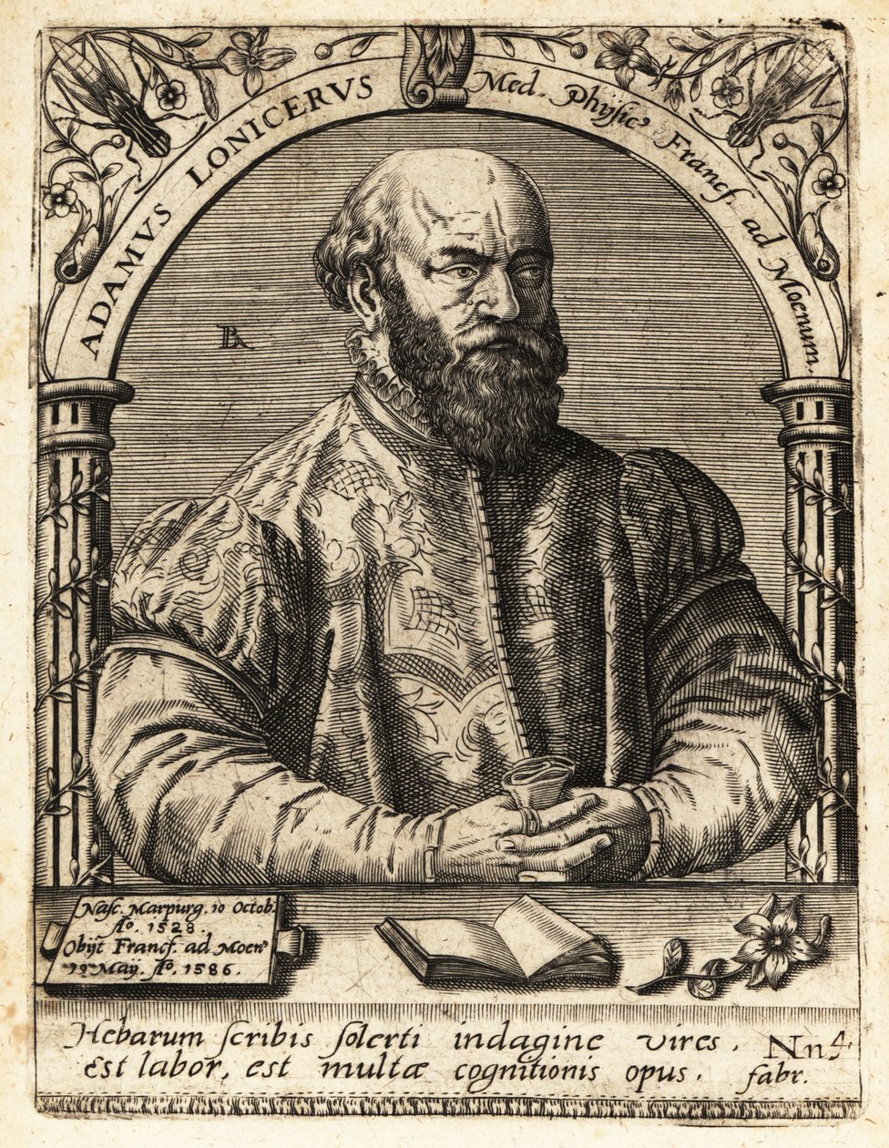 Adam Lonicer eller Lonitzer af Theodore de Bry