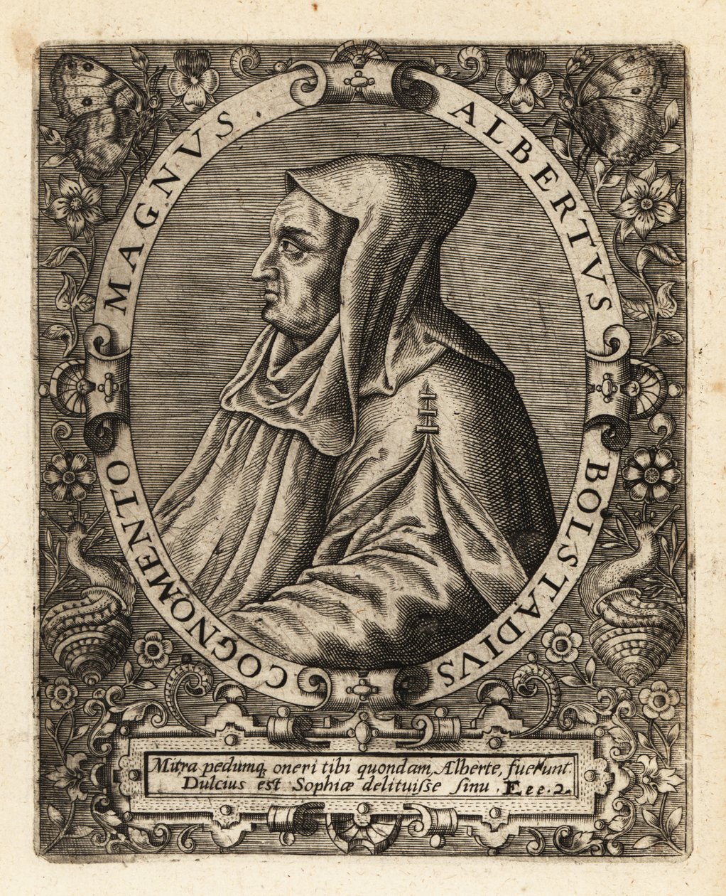 Albertus Magnus, tysk katolsk biskop. af Theodore de Bry