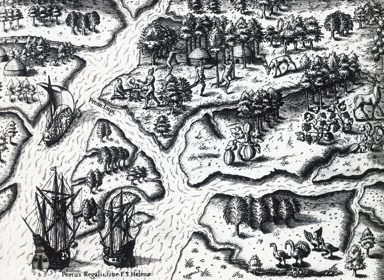 Frenchs ankomst til Port Royal i 1564 af Theodor de Bry (1528-1598) fra maleri af Jacques le Moyne de Morgues (ca. 1533-før 1588), gravering af Theodore de Bry