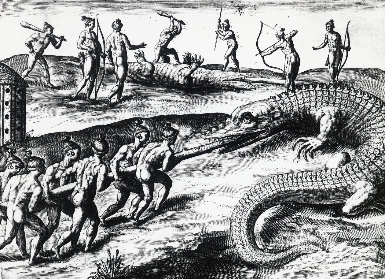 Krokodillejagt i Florida, fra maleri af Jacques le Moyne de Morgues (ca. 1533-før 1588), af Theodor de Bry (1528-1598). gravering af Theodore de Bry
