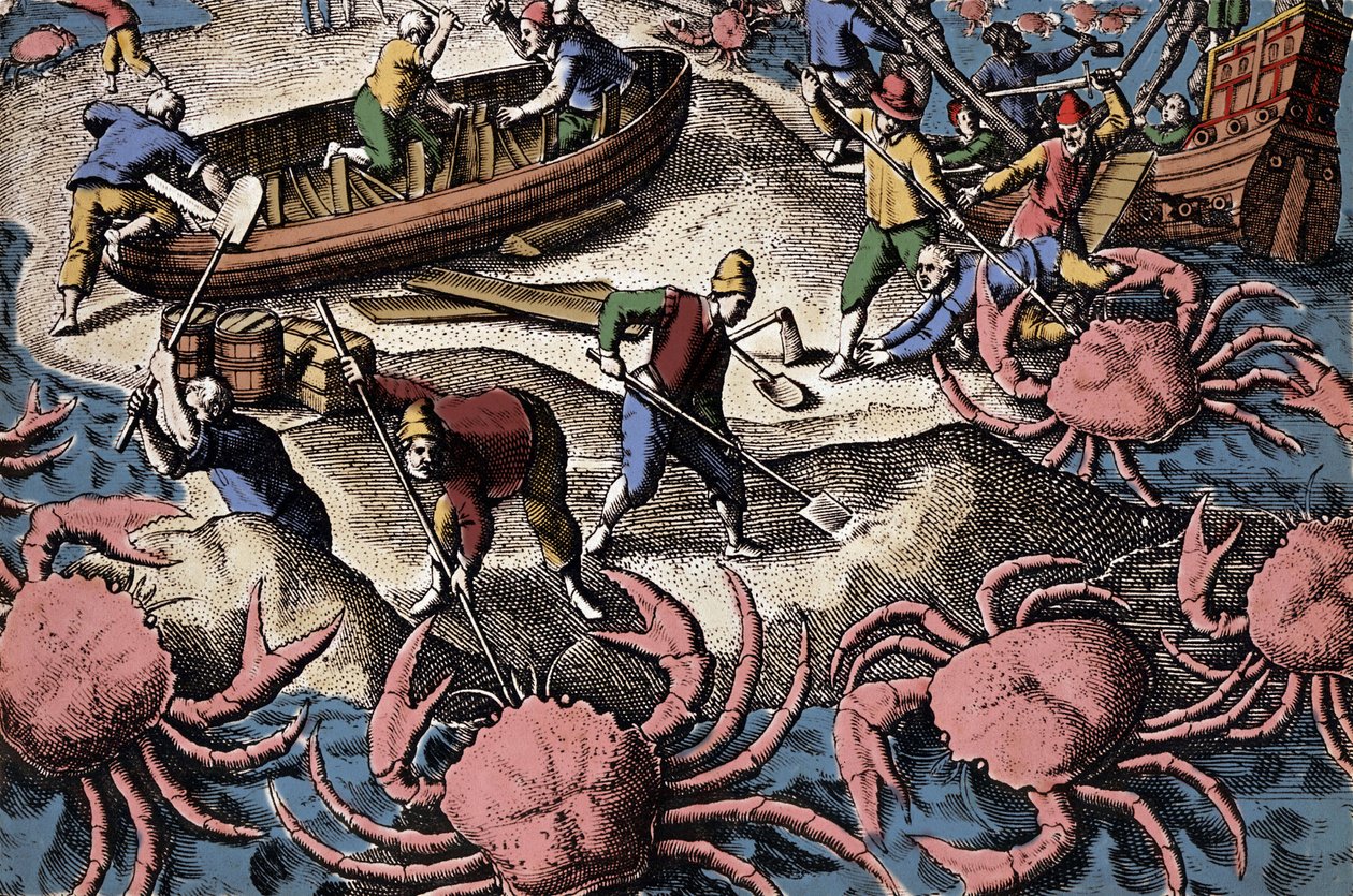 Europæiske navigatører kæmper mod stor krabbe. Gravering fra "Petities voyages aux Indes Orientales" af Theodore de Bry af Theodore de Bry