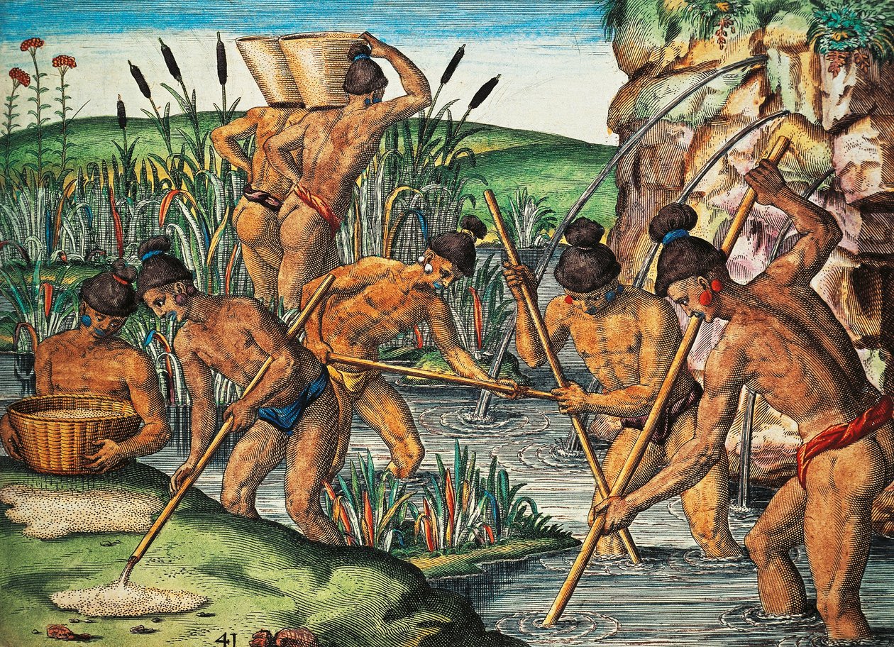 Guldgravere i Florida, farvet gravering af Theodor de Bry (1528-1598) fra et maleri af Jacques le Moyne de Morgues (ca. 1533-før 1588), fra Brevis Narratio af Theodore de Bry
