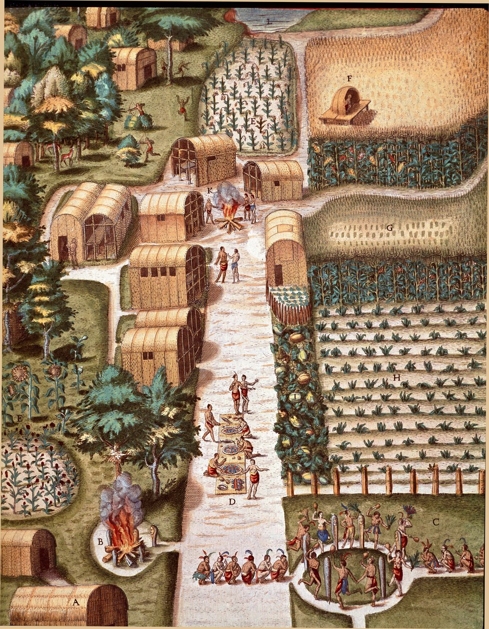 Gravering fra "" Admirante Narratio Americae"" af Theodore de Bry (1528-1598) af Theodore de Bry