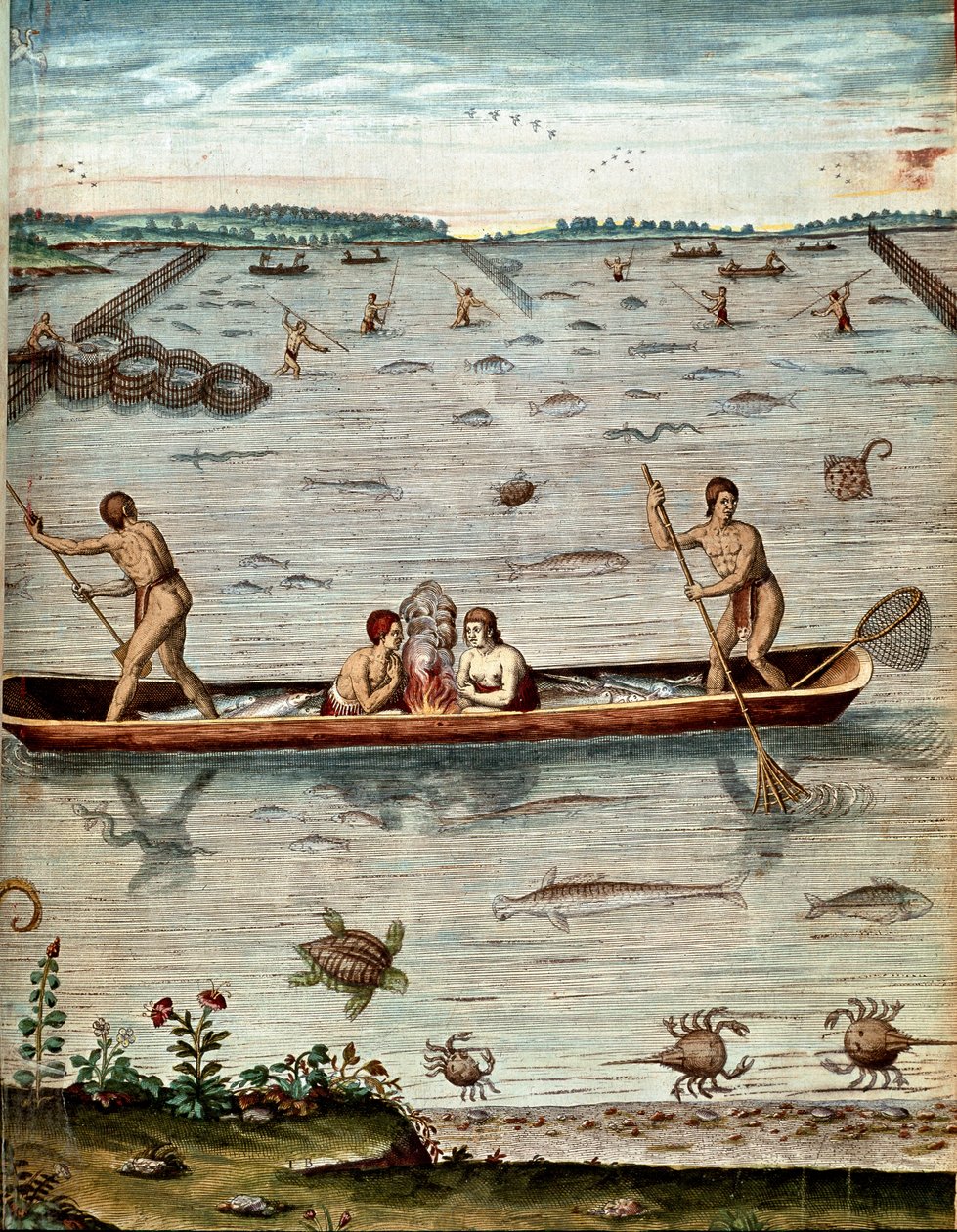 Amerikas historie: "" fiskeri blandt indbyggerne i Virginia"" I vandet af skildpadder, krabber og forskellige fiskesorter. Gravering fra "Admirable Narrative Americae"" af Theodore de Bry (1528-1598) af Theodore de Bry