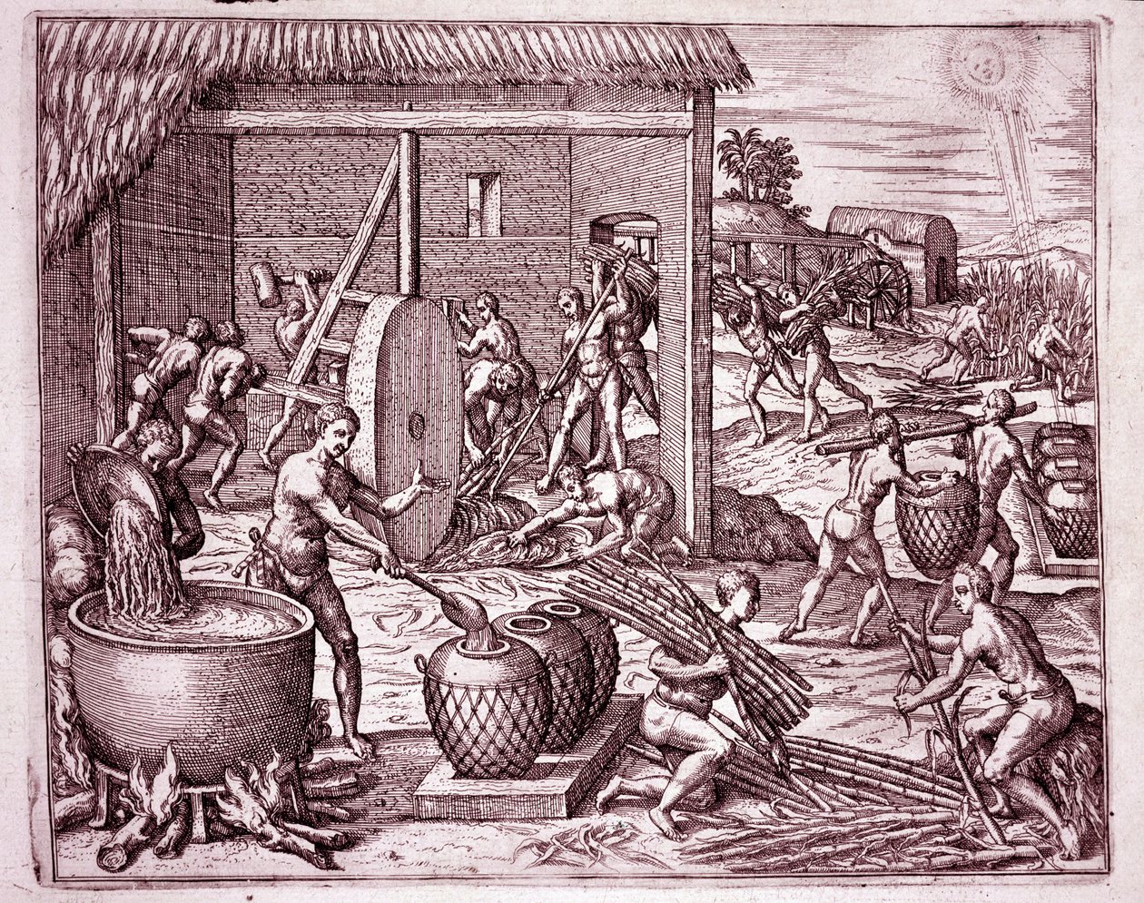 Amerikas historie: høst af sukkerrør og sukkerproduktion af indiske slaver, der arbejder for de spanske conquistadorer (gravering af Theodore de Bry