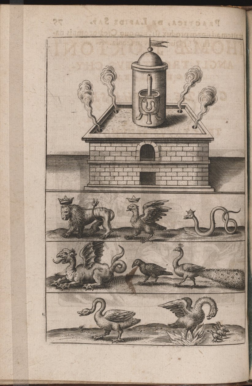 Illustration til Tripus Avrevs, det vil sige tre afhandlinger af udvalgte kemikere.., 1618 af Theodore de Bry