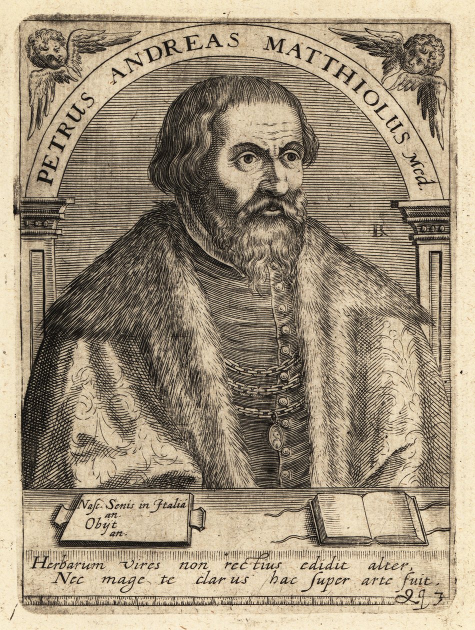 Pietro Andrea Gregorio Mattioli, italiensk læge af Theodore de Bry