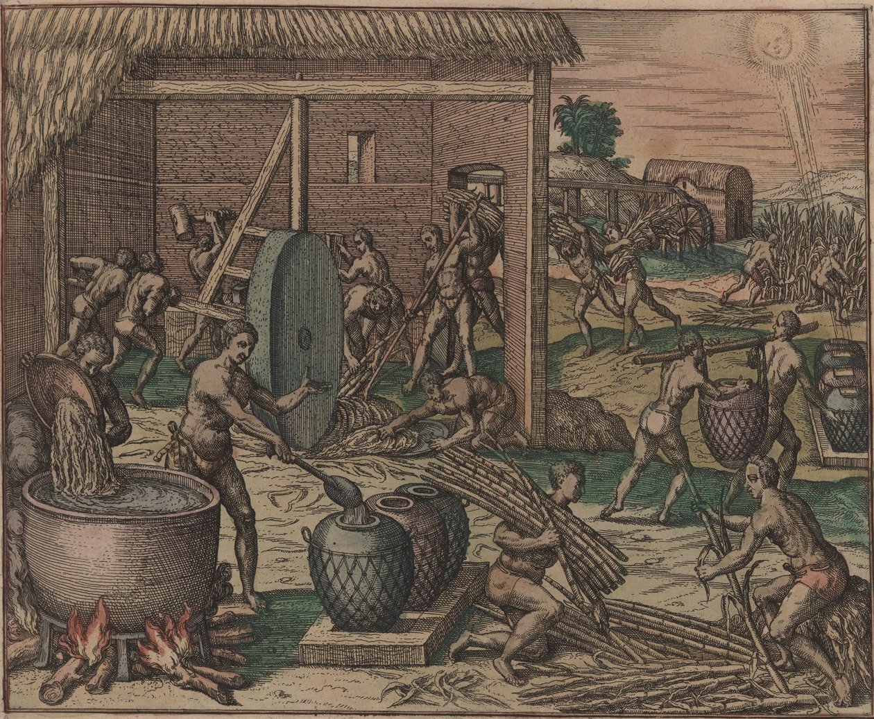 Slaver behandler sukkerrør og laver sukker, 1595. af Theodore de Bry