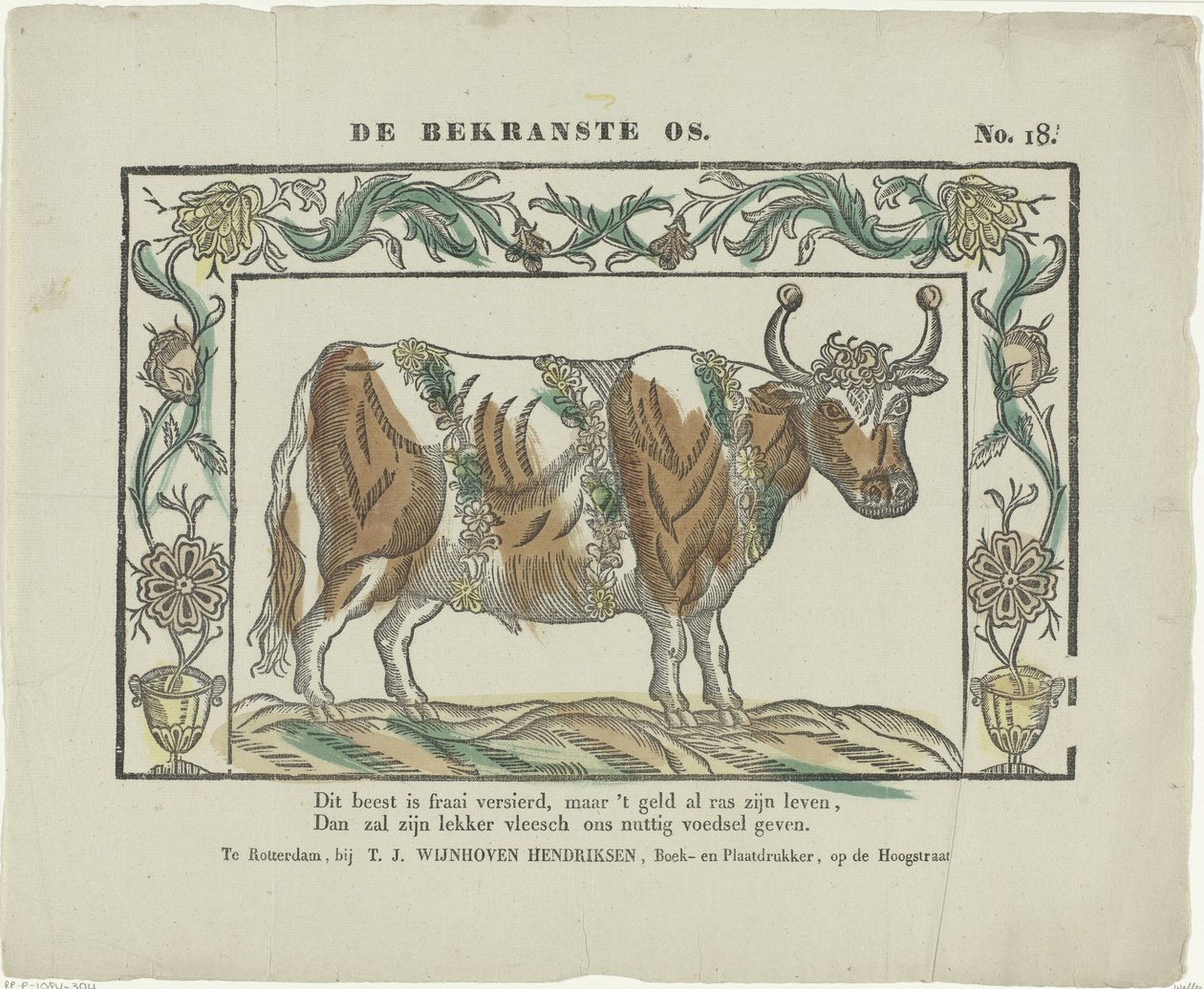 De bekraste os (titel på objekt) af Theodorus Johannes Wijnhoven Hendriksen