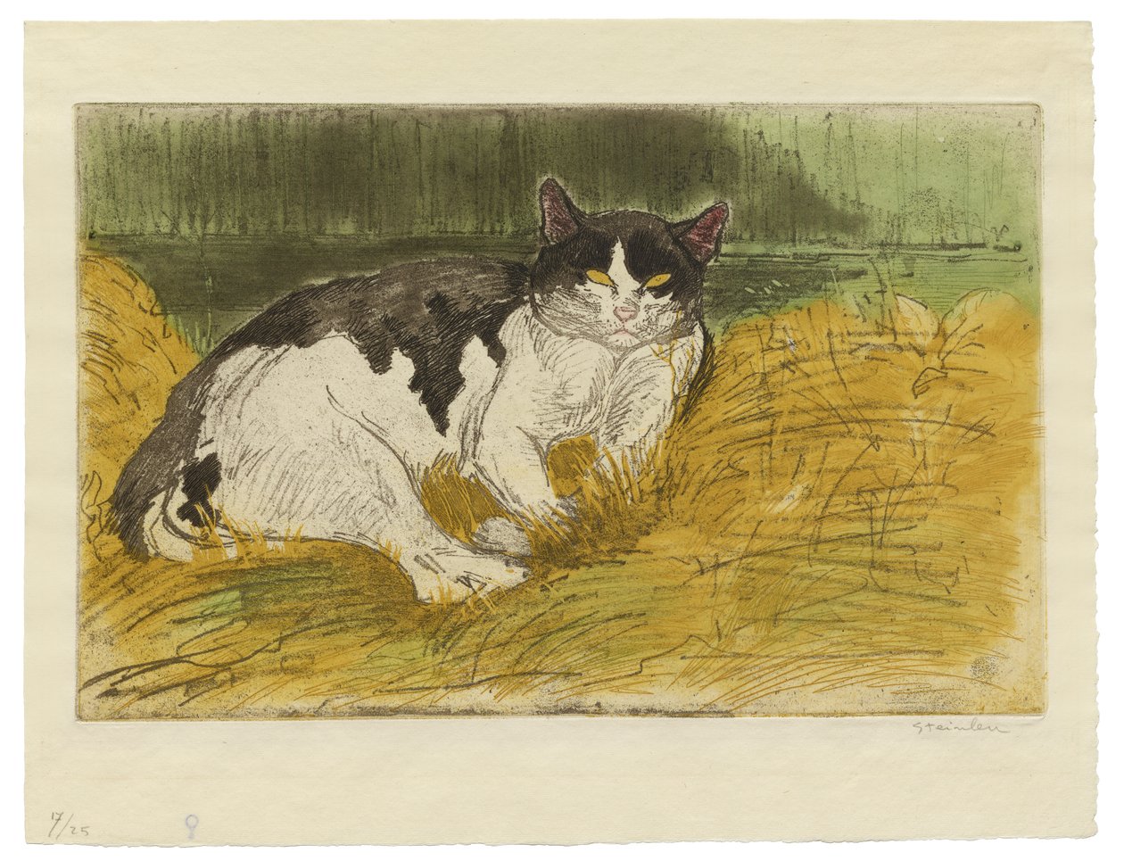 Gammel sort og hvid kat i græsset af Théophile Alexandre Steinlen