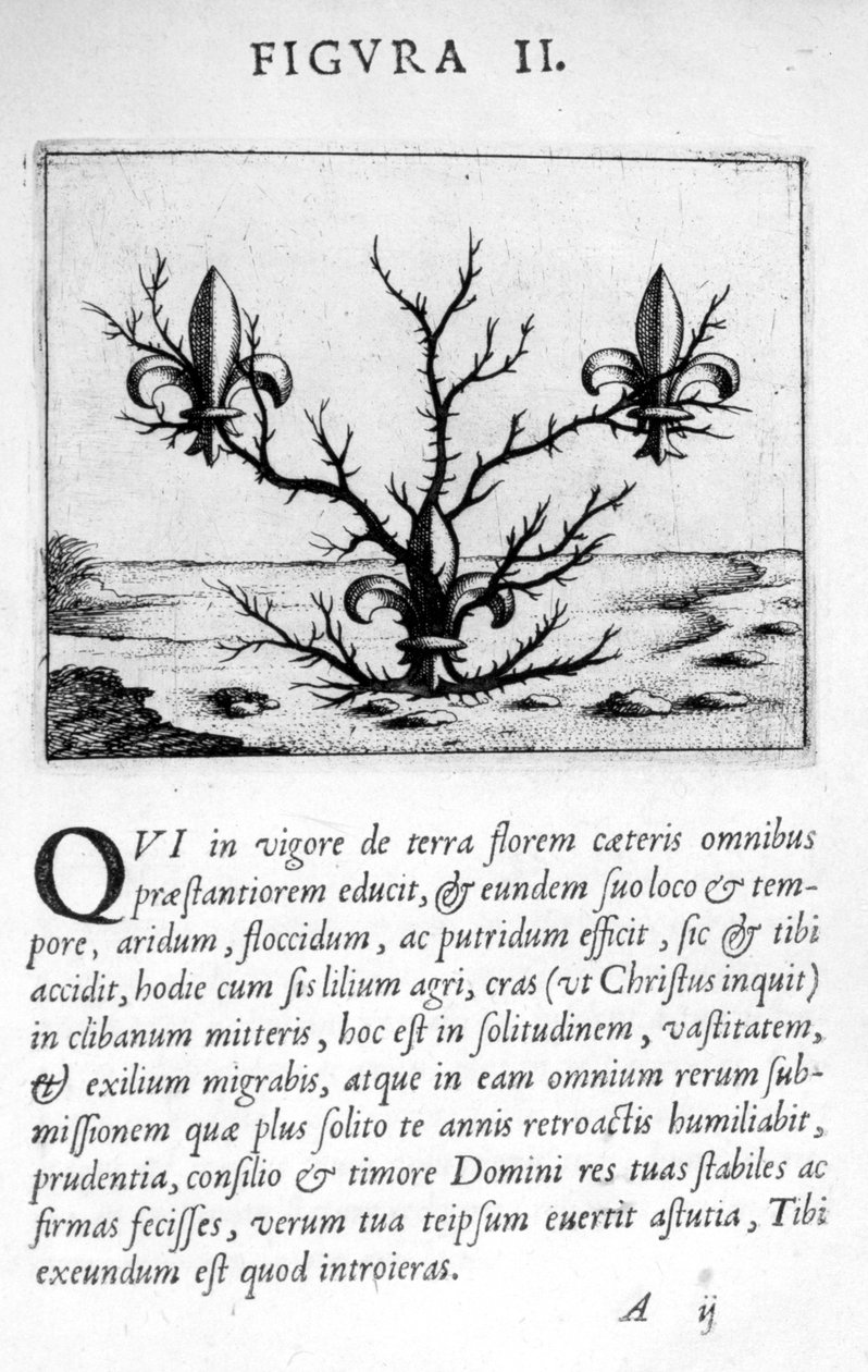 Profeti figur II fra Prognostication of the Eximii Doctor Paracelsus, 1536 af Theophrastus Bombastus von Hohenheim Paracelsus