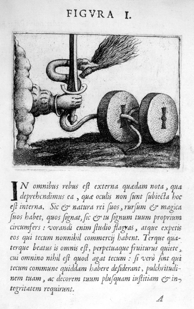 Profetifigur I fra Prognosticatio eimii Doctoris Paracelsi, 1536 af Theophrastus Bombastus von Hohenheim Paracelsus