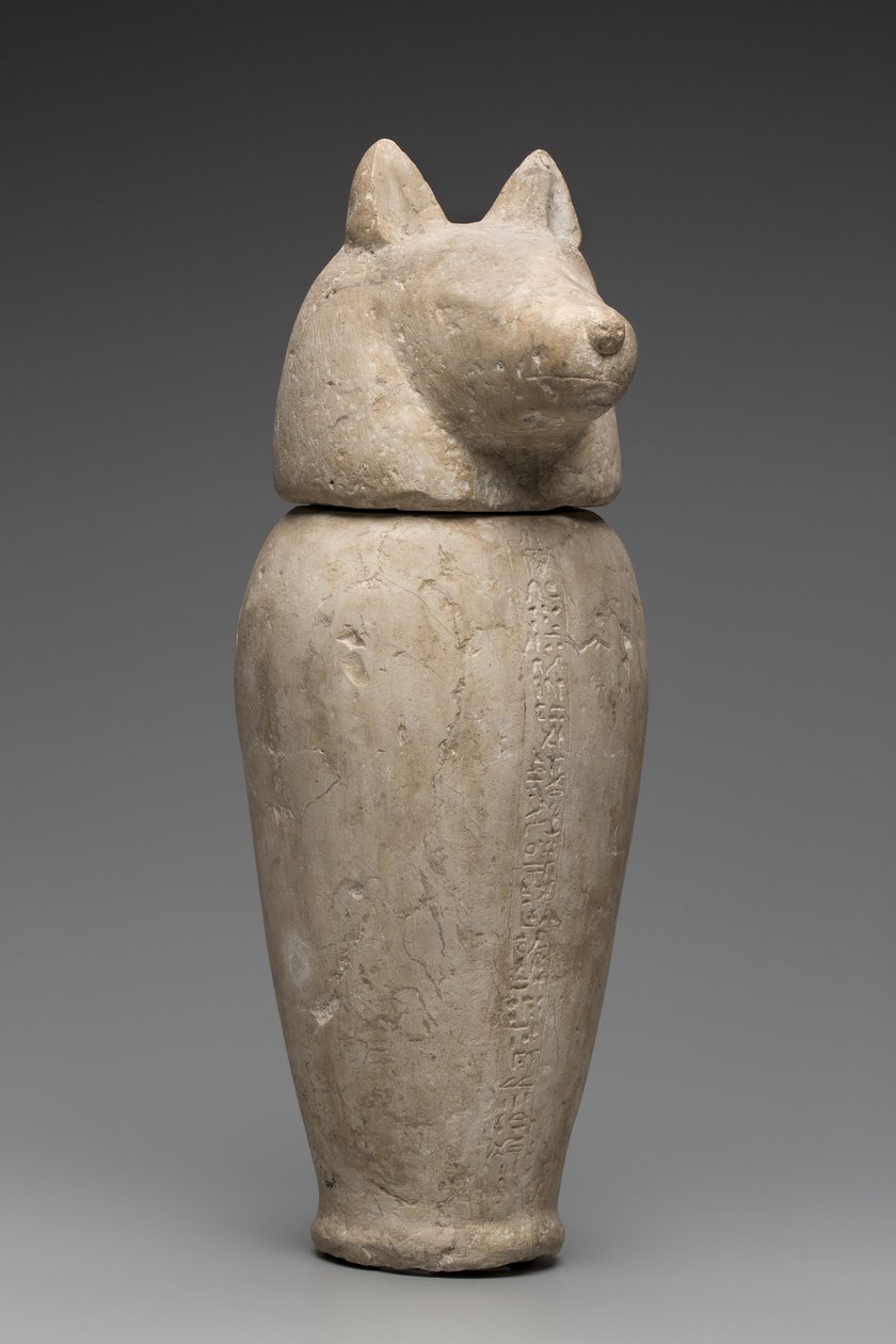 Baldakinkrukke med sjakalhoved (kalksten) af Third Intermediate Period Egyptian