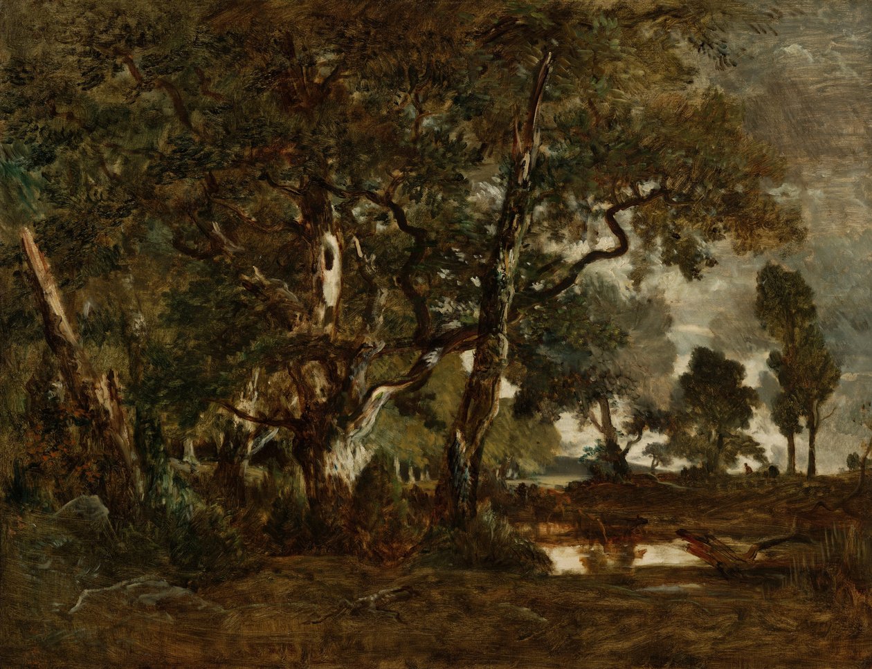 Forest of Fontainebleau, Cluster of Tall Trees med udsigt over Clair-Bois-sletten ved kanten af Ba ... af Pierre Etienne Theodore Rousseau