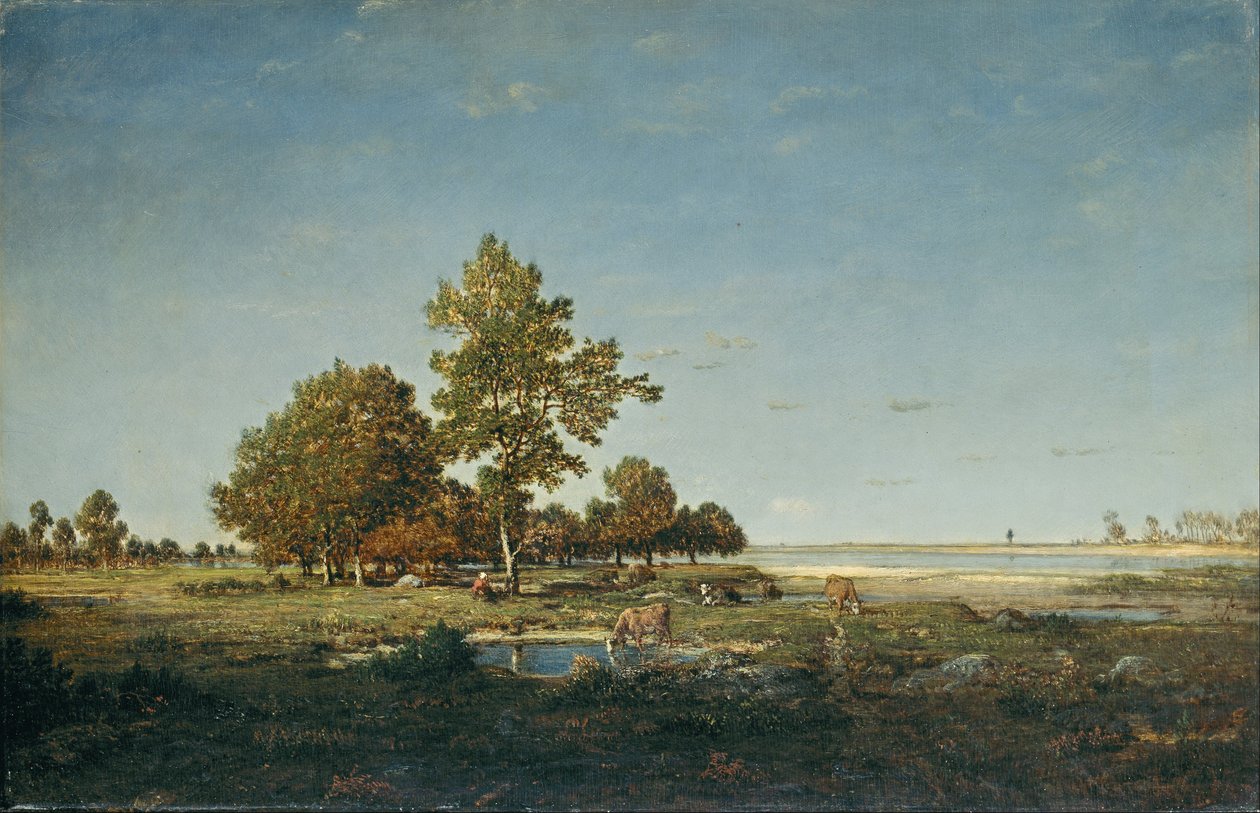 Landskab med en klump træer af Pierre Etienne Theodore Rousseau