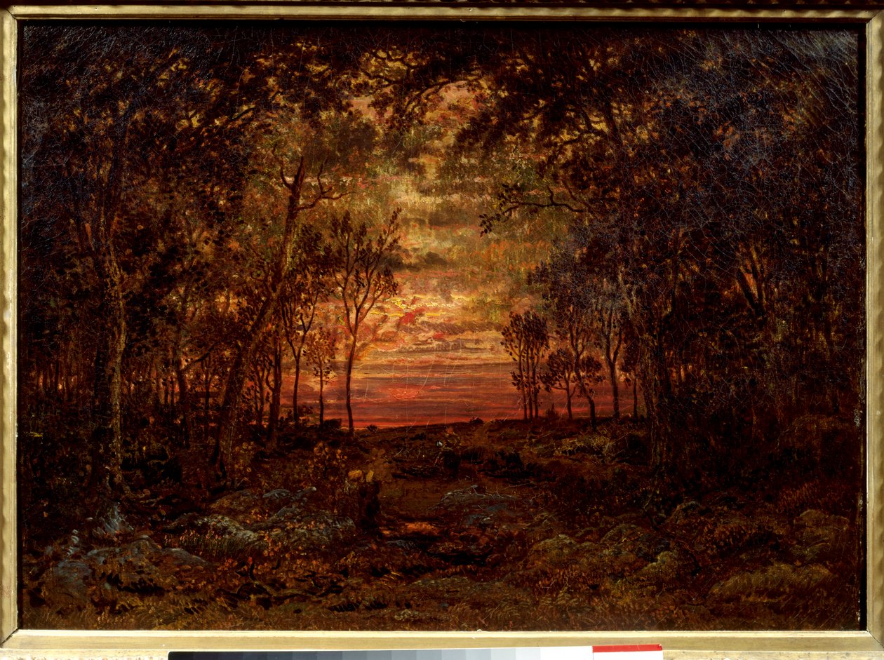 Solnedgang i skoven Maleri af Theodore Rousseau (1812-1867) Barbizon School fra det 19. århundrede. Svag. 0,46x0,62m. Olie på lærred. . af Pierre Etienne Theodore Rousseau
