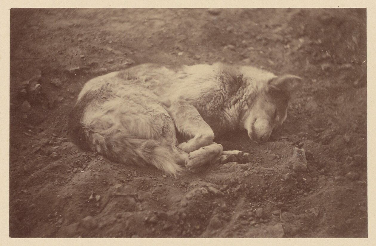 [Sleeping Dog] af Théodule Devéria
