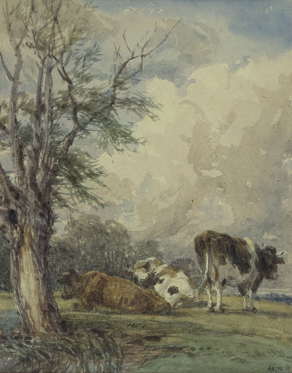 Et studie af kvæg, 19. århundrede af Thomas Baker