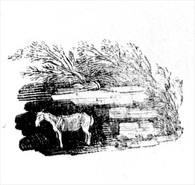 Et æsel fra historien om britiske fugle og firbenede af Thomas Bewick