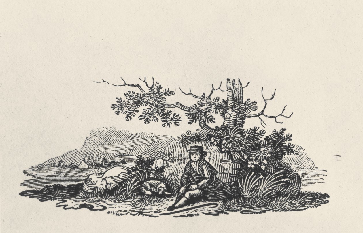 En gentleman under et træ, fra landfugle, udgivet 1797 (trægravering) af Thomas Bewick
