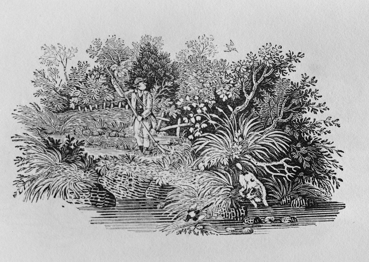 På udkig efter skuddet, slutningen af det 18. eller begyndelsen af det 19. århundrede (trægravering) af Thomas Bewick