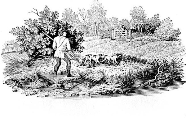 Sportsmand med to hunde fra landfugle 1797 (trægravering) af Thomas Bewick