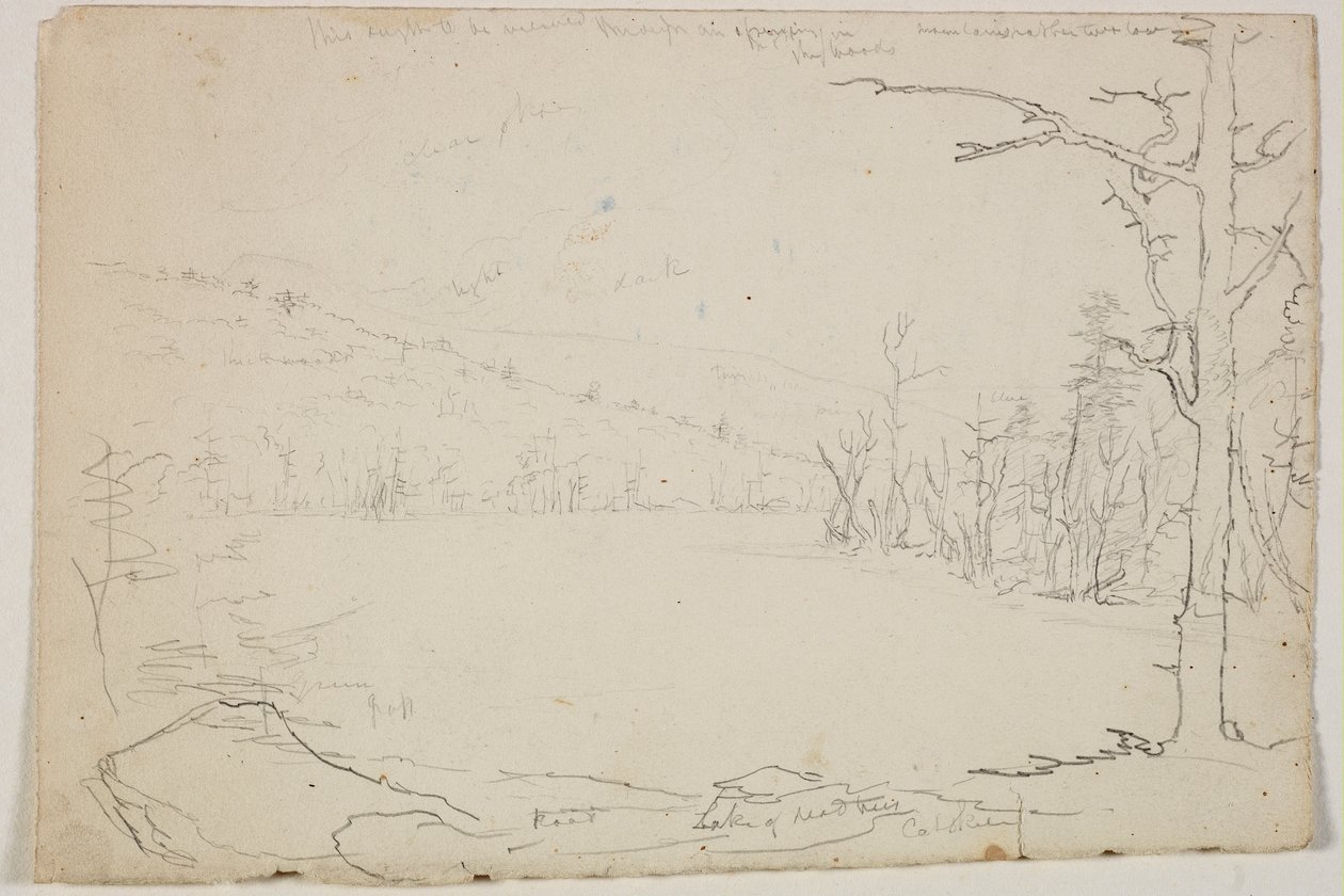 Lake of Dead Trees, Catskill, 1825 (grafitblyant på råhvidt papir) af Thomas Cole