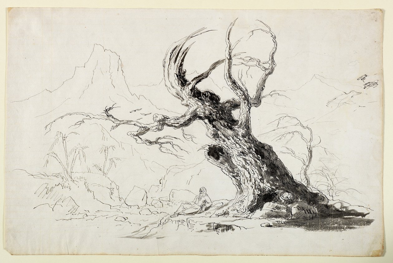 Stort knudret træ med skægget mand siddende nedenfor (pen og blæk over blyant på papir) af Thomas Cole