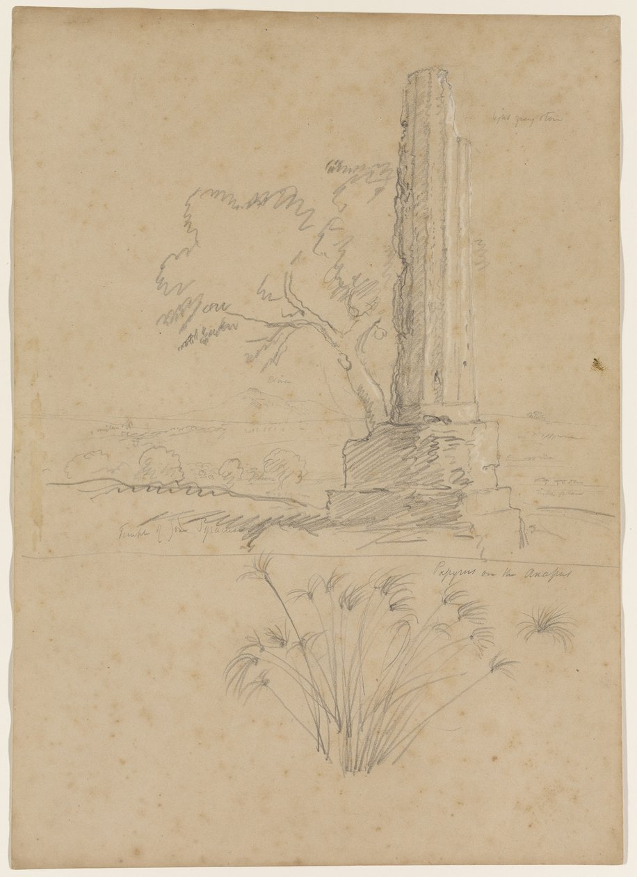 Zeus og Papyrus-templet ved Anapo-floden, nær Syracuse, Sicilien, 1842 (blyant forhøjet med hvidt kridt på papir) af Thomas Cole