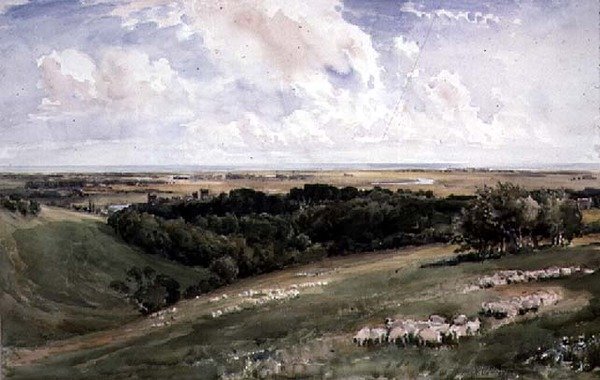 Arundel Park, Sussex af Thomas Collier