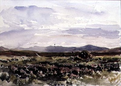 På bakkerne, Dolwyddelan, Nordwales af Thomas Collier