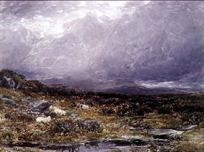 På Siabod Flats, Nordwales af Thomas Collier