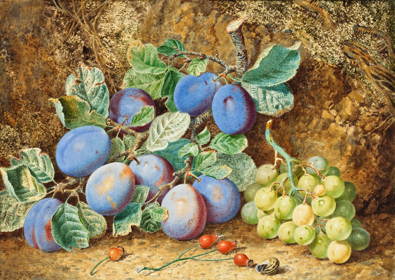 Blommer og druer, 1877 af Thomas Collier